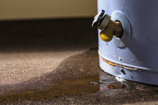 Best Flood restoration services  in West Canton, NC