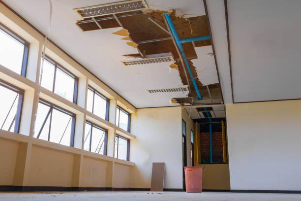 Water damage restoration experts in West Canton, NC