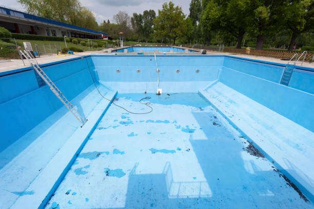 Best Water damage cleanup near me  in West Canton, NC