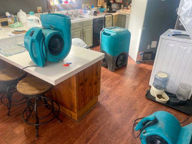 Reliable West Canton, NC Water damage restoration Solutions