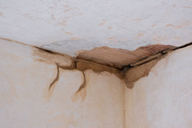 Best Water damage restoration company  in West Canton, NC