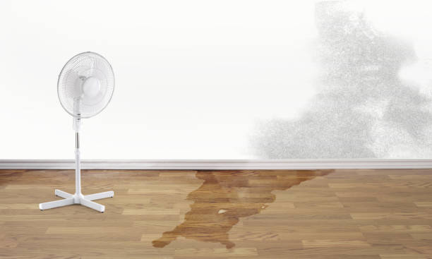 Best Local water damage restoration  in West Canton, NC