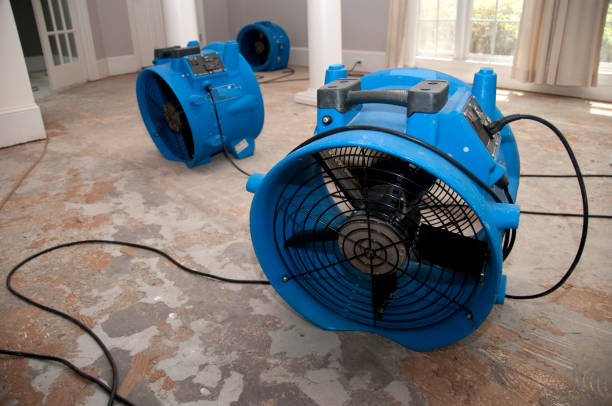 Best Flood damage cleanup  in West Canton, NC