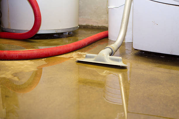 Best Residential water damage restoration  in West Canton, NC