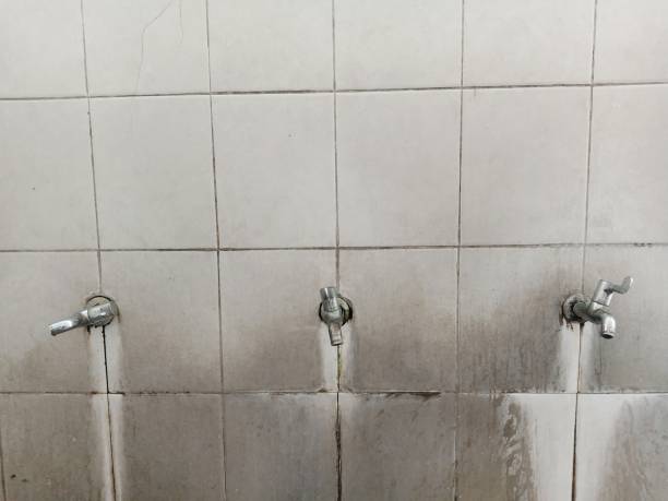 Best 24-hour water damage restoration  in West Canton, NC