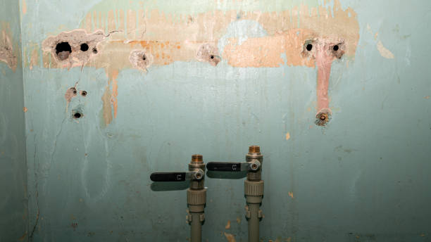  West Canton, NC Water damage restoration Pros