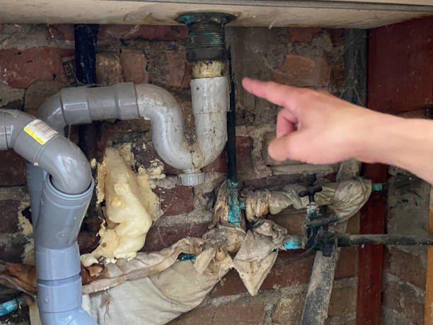 Best Basement water damage restoration  in West Canton, NC